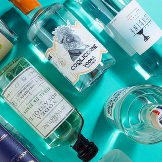 Tout savoir sur la vodka : son histoire