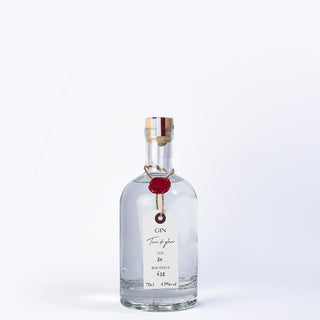 Terre de Glace — Gin à la cardamome